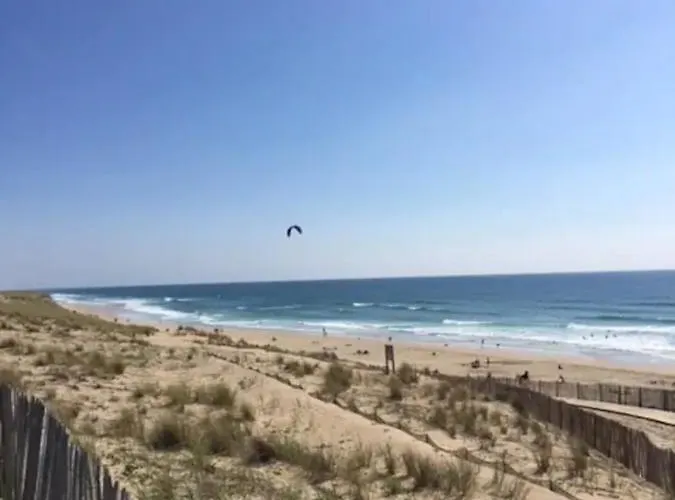 Cosy Face A L'ocean *